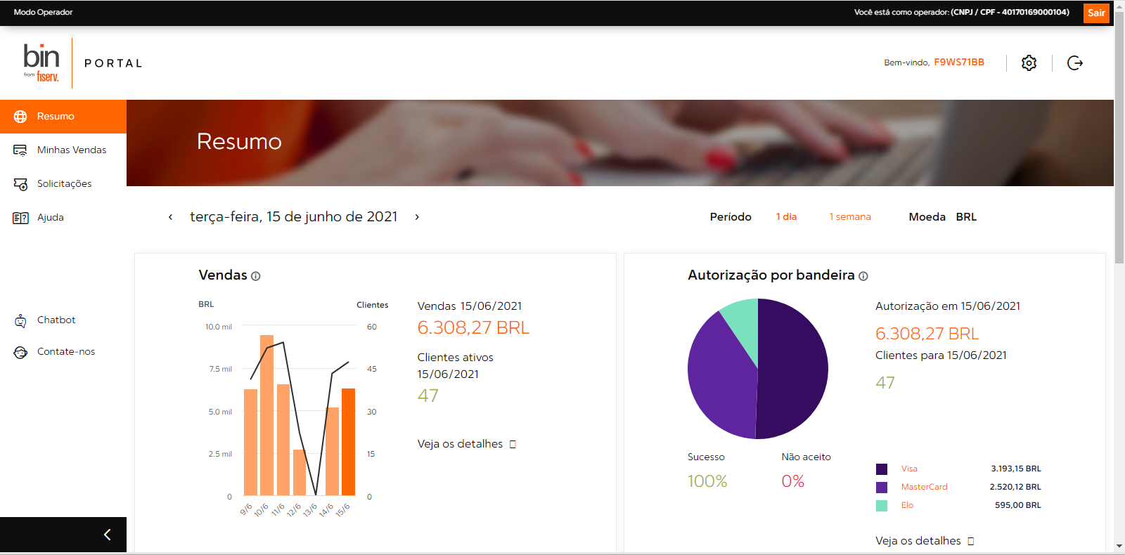 Production payment portal overview with sales indicators and card-brand authorization data